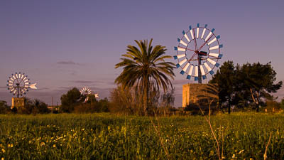 Die Windmühlen von Mallorca sind im Inselinnern zu finden.