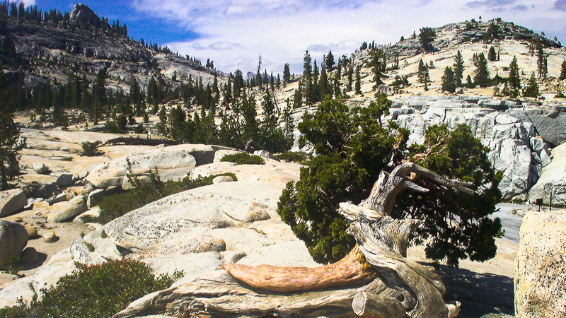Dank Zwischenlandung in Los Angeles war das möglich. Hier besuchen wir den Yosemite Nationalpark.