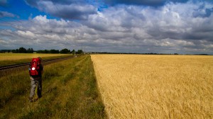 Pilgerin auf der Via Regia 