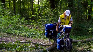 Rhein-Radweg am Oberrhein mit Hindernissen 