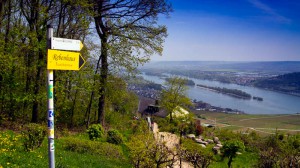 Auf dem Rheinsteig beim Niederwalddenkmal 