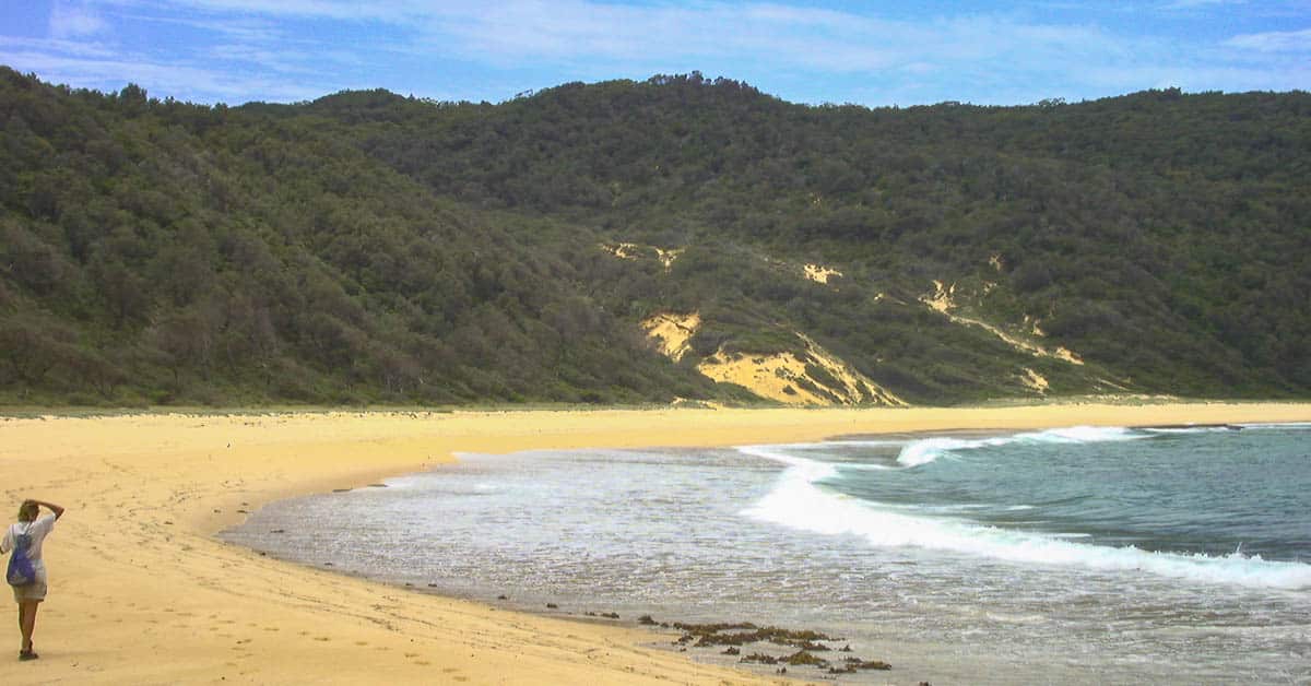 Für eine 3km-Wanderung werden wir mit einem einsamen Strand belohnt - Booderee Nationalpark