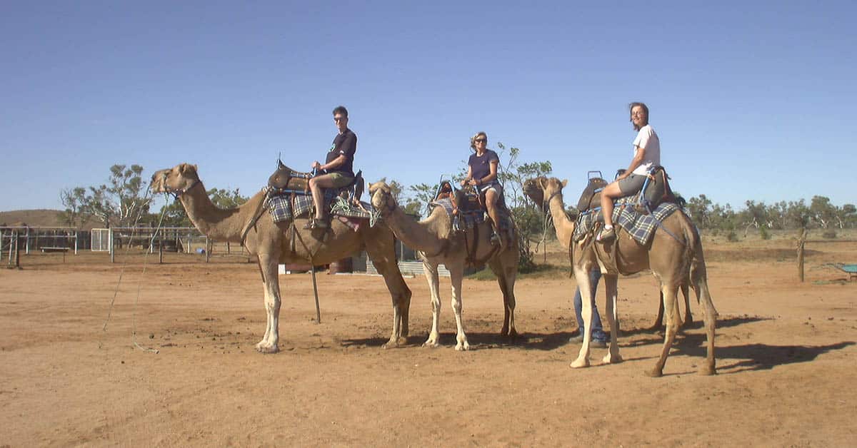 Dann gehen wir auch noch Kamelreiten im Outback, so richtig das Touri-Programm