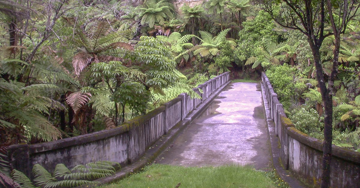Paddeln durch den Whanganui Nationalpark mit der Bridge to Nowhere