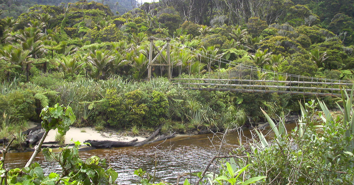 Regenwald in der Nähe von Karamea, Kahurangi Nationalpark, Süd-Insel Neuseeland