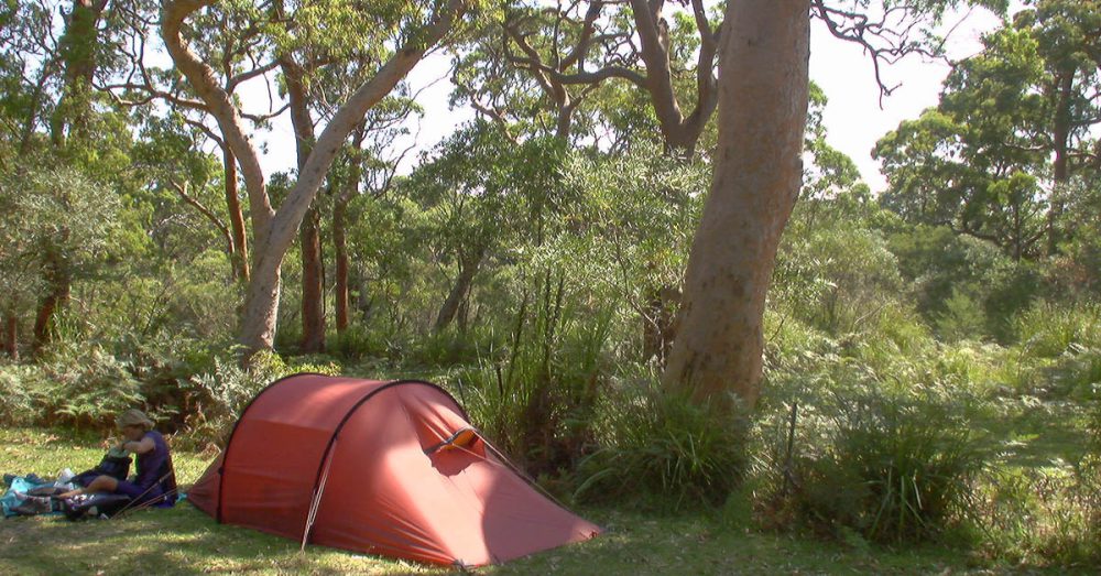 Zelten im Royal Nationalpark in Australien