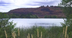 Lake Burley Griffin, künstlich angelegter See, der Canberra in zwei Teile teilt.