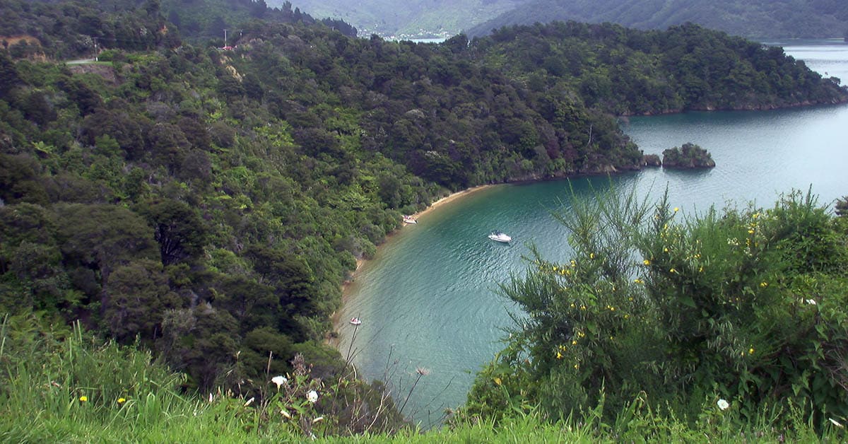 Grüne Bucht auf der Südinsel von Neuseeland
